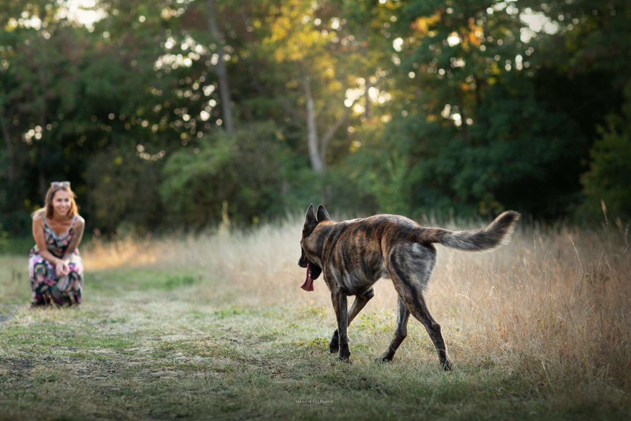 Cathy en séance avec un chien